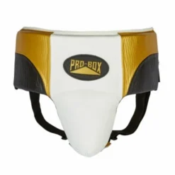 Champs Bxing Ltd PROBOX-PRO-SPAR Black/Gold/White ABDO GUARD HEAD & GROIN GUARDS