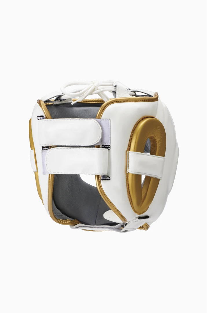 Champs Bxing STING-Evolution Face Shield HEAD & GROIN GUARDS 2 Champs Bxing STING-Evolution Face Shield HEAD & GROIN GUARDS