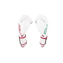Champs Bxing Cleto Reyes Sparring Gloves – Mexican Colours