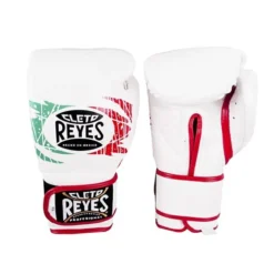 Champs Bxing Cleto Reyes Sparring Gloves – Mexican Colours