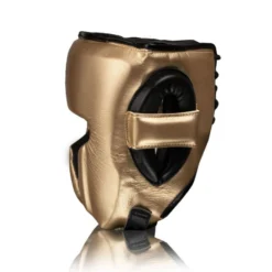 FLY-KNIGHT X GOLD/BLACK HEAD & GROIN GUARDS