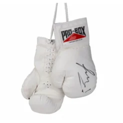Champs Bxing Ltd PROBOX-AUTOGRAPH GLOVES SENIOR GLOVES