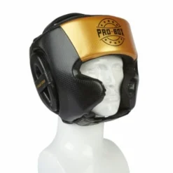PROBOX CHAMP SPAR HEAD GUARD BLACK-GOLD HEAD & GROIN GUARDS