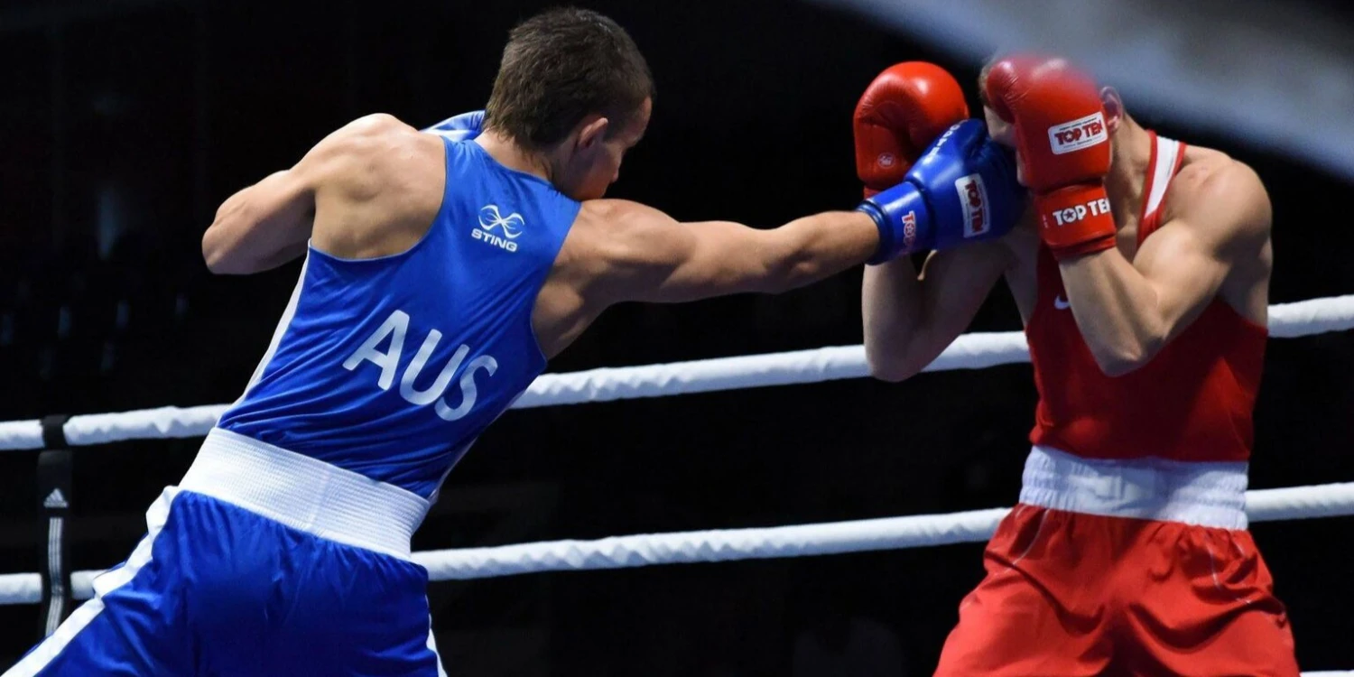 Cheap Champs Bxing ltd Store -Cheap Champs Bxing ltd Store 1